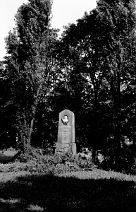 Senftenberg